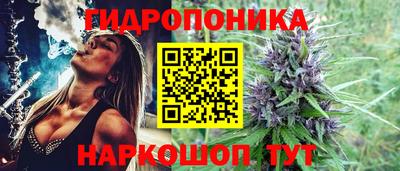 гашик Можга