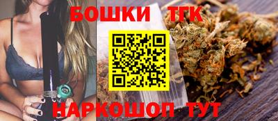 гашик Можга