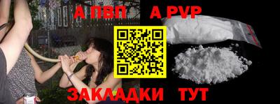 гашик Можга