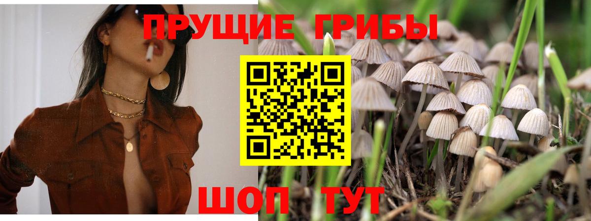 Галлюциногенные грибы Cubensis Первоуральск